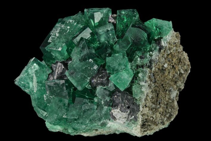 Fluorite Crystal Cluster with Galena- Rogerley Mine #135701